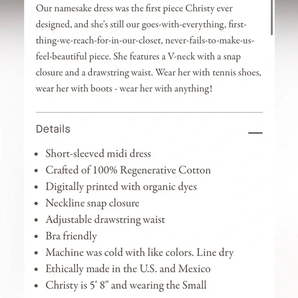 Christy Dawn the Dawn Dress - Picture 2 of 11